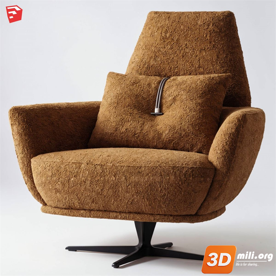 Armchair Skp Files